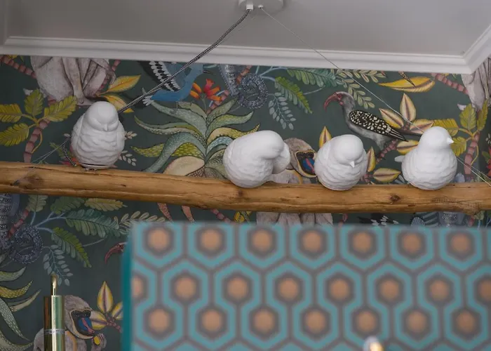 The Charming Trocadero Eiffel Tower *