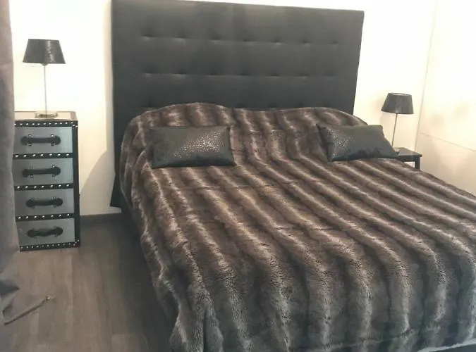 The Charming Trocadero Eiffel Tower *