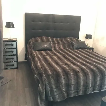 The Charming Trocadero Eiffel Tower *